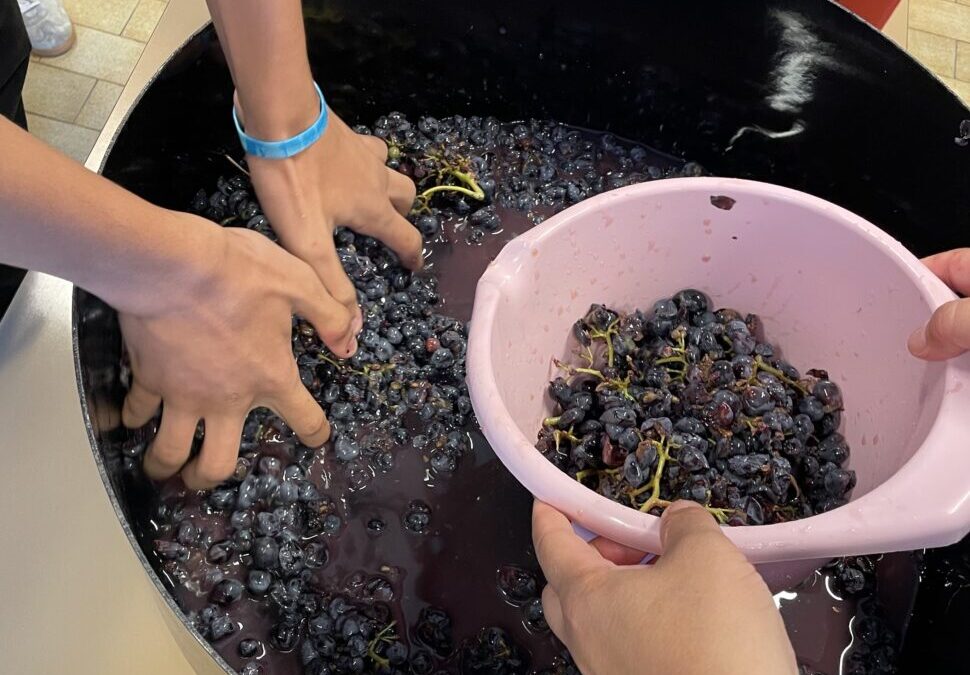 Srednja škola Brač službeno ima i svoj varenik!  